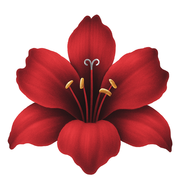 Amarilis